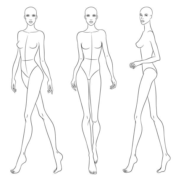 Beautiful Slim Woman In Different Poses Vector Illustration Nine Head  Fashion Figure Template Female Body Front Side And Back Views Stock  Illustration - Download Image Now - iStock