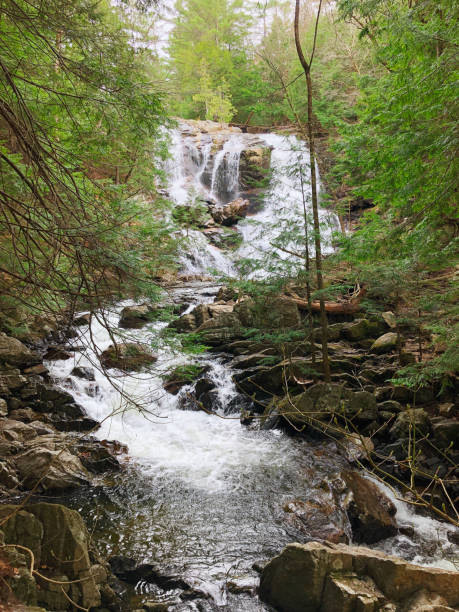 istock A waterfall in the woods 1299466566