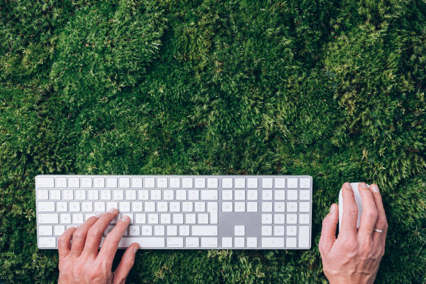 istock Hands on laptop keyboard over green grass, moss forest background. Top view. Mindfulness, biophilic design, unplug concept. Digital detox. Summer office, work on vacation, freelance concept 1299466807