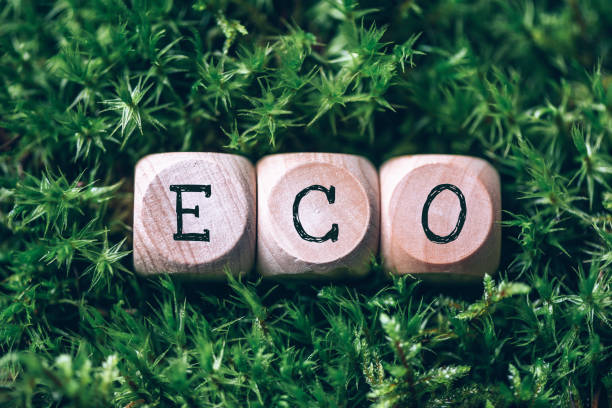 wooden cubes with word eco over green grass, forest moss background. top view. copy space. text eco on craft blocks. ecology, organic, zero waste, sustainable lifestyle concept. stop pollution - organic single word environment block imagens e fotografias de stock