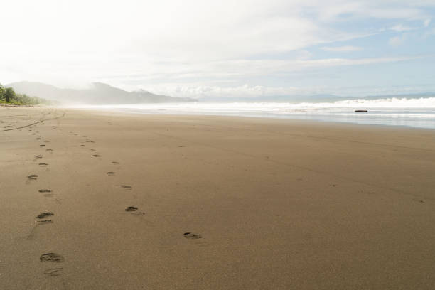 istock Landscape with footprints in the sand 1299469511