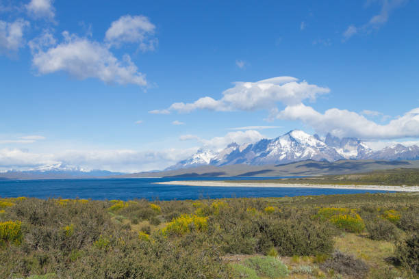 サルミエント湖の景色,トーレス・デル・パ��イネ,チリ - mt sarmiento ストックフォトと画像