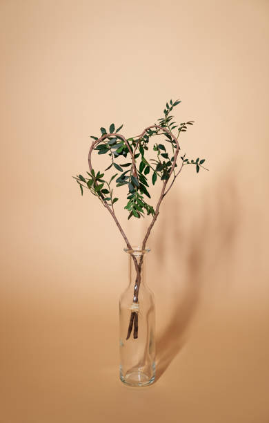 istock Heart shape made of eucalyptus branches stand in vase 1299474052
