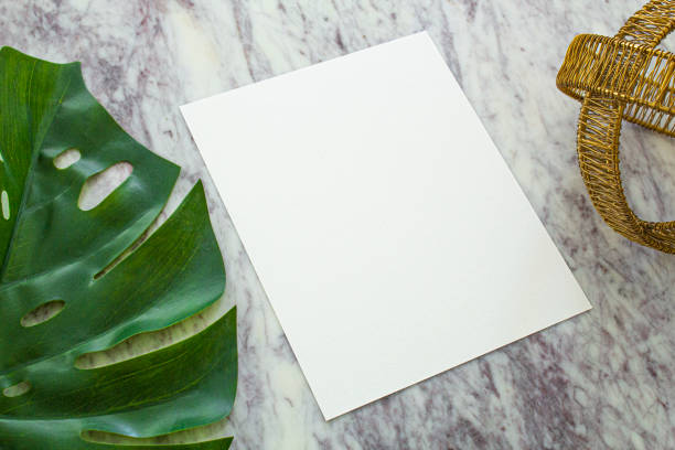 istock Modern Decor Frame, Marble background, monstera plant, gold globe, Modern Decor Frame, Marble background, monstera plant, gold globe, staged scene 1299474184