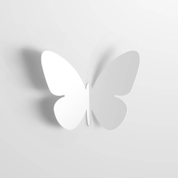 ilustrações, clipart, desenhos animados e ícones de borboleta origami com papel branco - butterfly