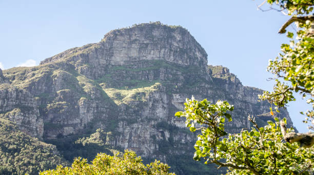 istock kirstenbosch gardens 1299476922