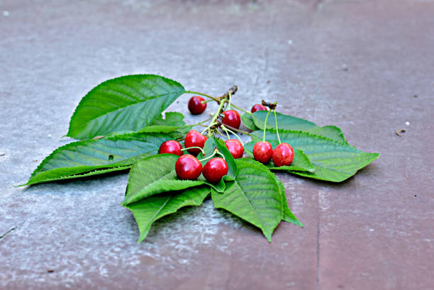 istock Ripe red cherries are on the table. 1299477560
