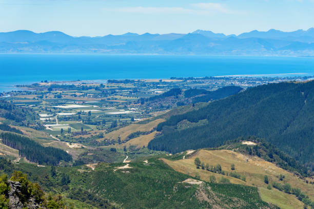 Hawkes Lookout in the Nelson-Tasman region of New Zealand Hawkes Lookout at Takaka Hill, Nelson region, New Zealand motueka stock pictures, royalty-free photos & images