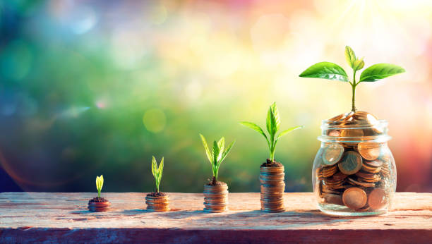 plants on money in increase with flare light effects - money growth concept - retirement planning imagens e fotografias de stock