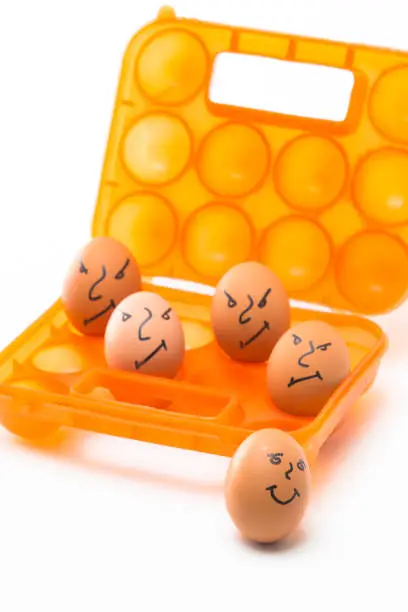 Picture of Obsolete Orange Egg Hiolder. Placed With Eggs Symbolizing Embittered Human Faces.Against White Background. Vertical Image