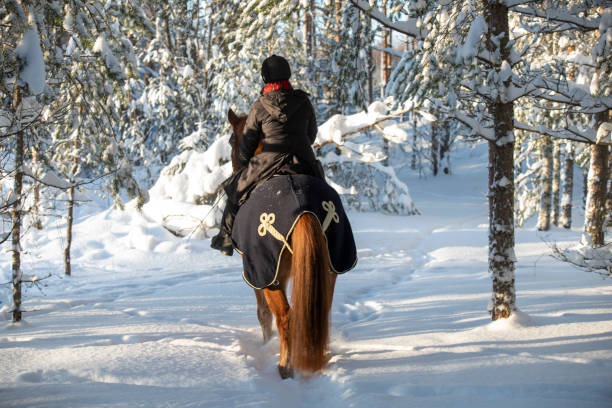 istock Woman horseback riding in winter 1299490110