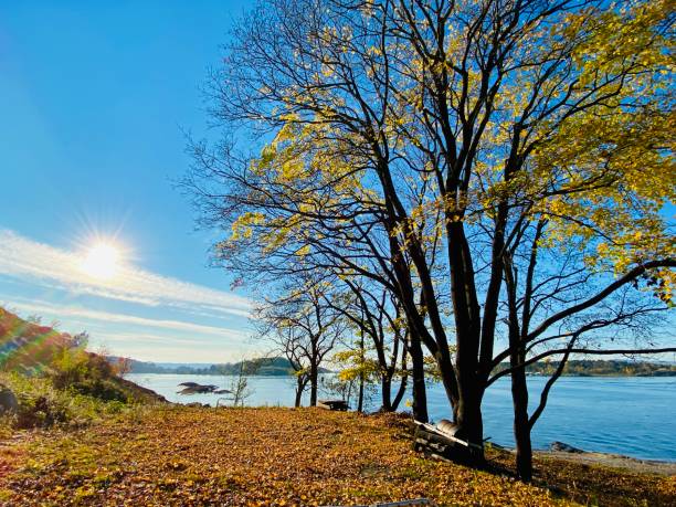 istock Autumn weather with sea 1299491067