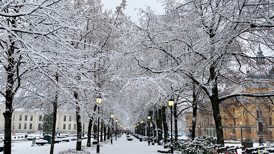 Snow in Oslo, Norway