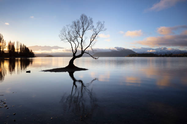 istock Peaceful sunset at Lake Wanaka, New Zealand 1299491144