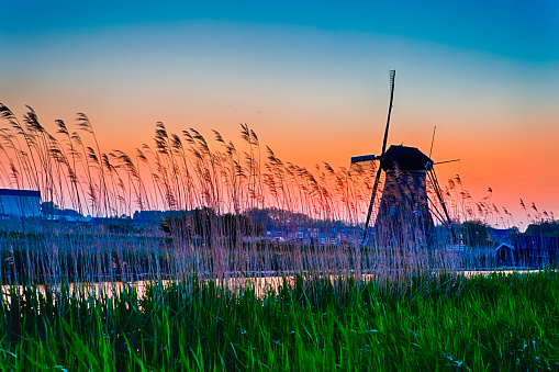 European Destinations. Traditional Romantic Dutch Windmill in Kinderdijk Village in the Netherlands At Dusk. With Large Number of Mosquitos in frame. Horizontal Shot