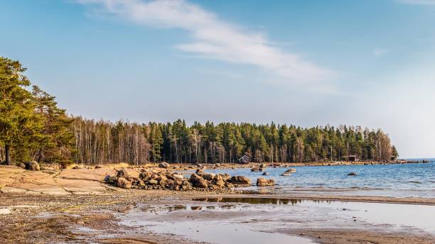istock View on pine forest near the sea 1299496327