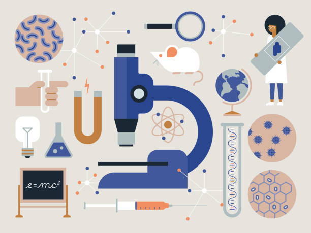 illustrationssammlung von wissenschafts- und medizinischen forschungskonzepten - science innovation microscope healthcare and medicine stock-grafiken, -clipart, -cartoons und -symbole