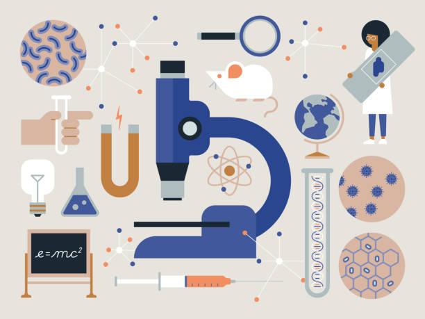 과학 및 의학 연구 개념의 일러스트 컬렉션 - 과학 일러스트 stock illustrations