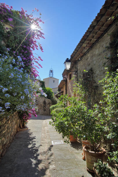 istock Grimaud small typical medieval village next to Saint-Tropez 1299499384