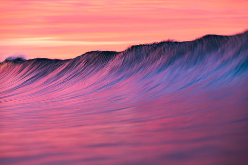 Cresting wave breaking in brilliant pink, red and golden morning light