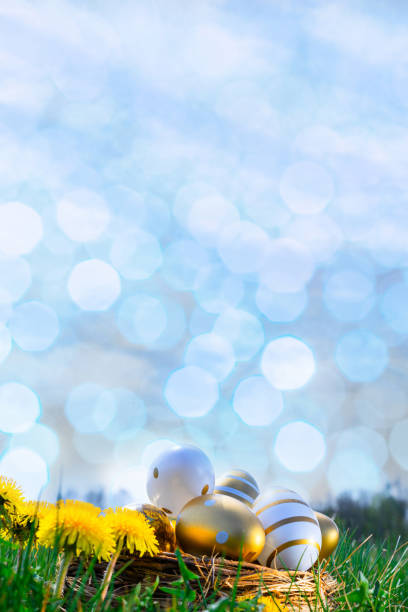 Abstract shining sun and sky illustration