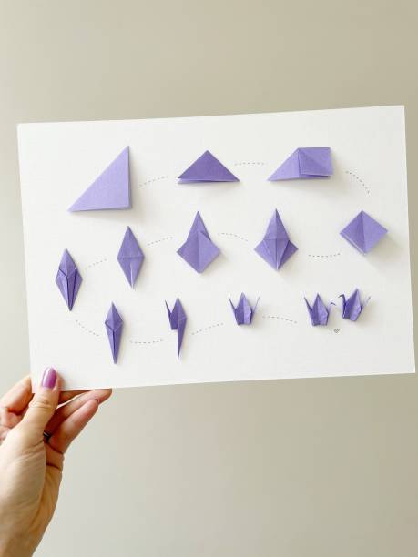 Woman hand holding step by step paper crane origami board POV of  holding a white board with step by step instruction of how to fold a paper crane origami or Orizuru origami instructions stock pictures, royalty-free photos & images