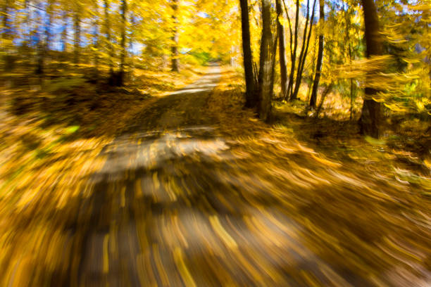 dreamy road bicycle ride - usa action adventure aspen tree imagens e fotografias de stock