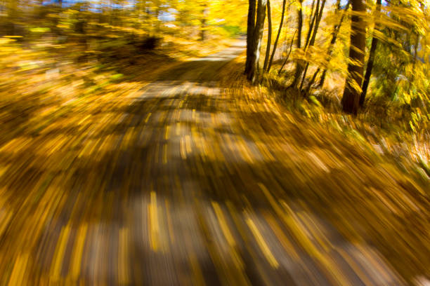 november road bicycle ride - usa action adventure aspen tree imagens e fotografias de stock