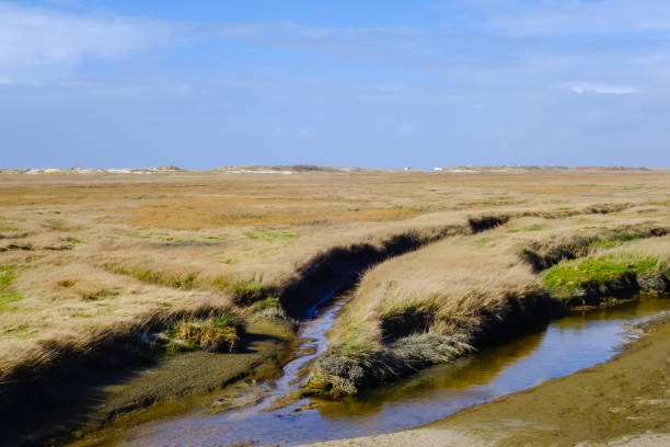 istock Tideway North Sea Coast St. peter-Ording 1299509811