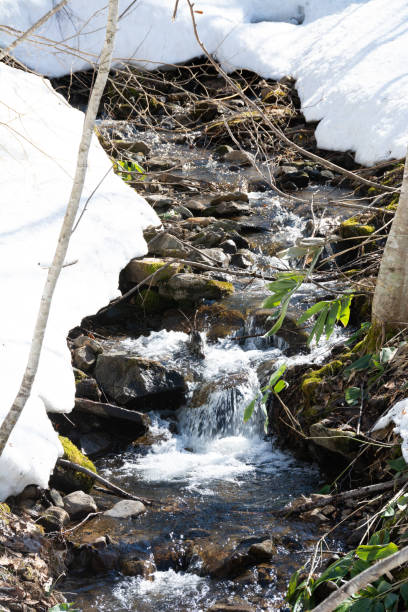 istock Stream in the mountains where the snow has begun to melt 1299510784