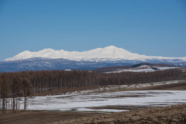 istock Upland field where snow remains and snowy mountains 1299510811