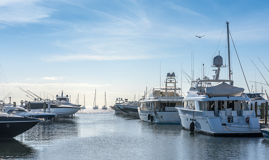 Group of luxury boats on a quiet morning in Coconut Grove, Miami Florida.