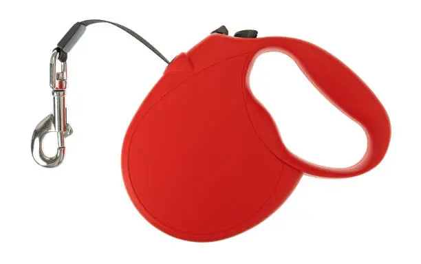 Top view of a retractable dog leash with a red plastic body and a metal clasp on a high strength cord isolated on a white background.