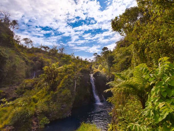 istock Tropical waterfall with cloudy forests and spectacular sky in Hawaii 1299528109