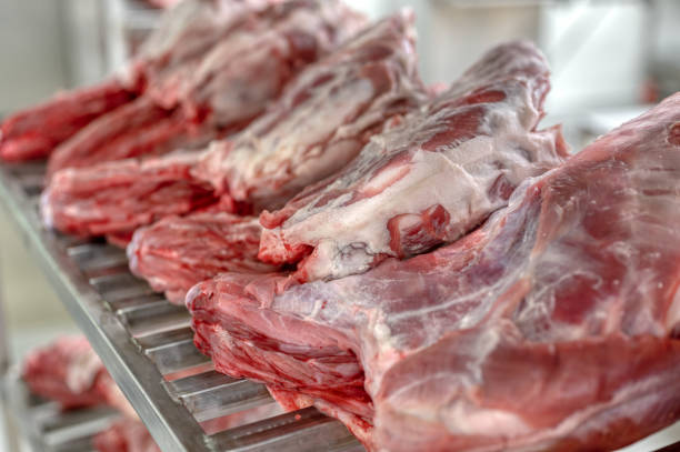 kälberkadaver liegen auf einem metallregal - dead animal butcher meat sheep stock-fotos und bilder