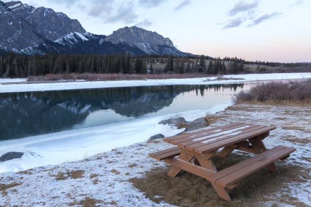 istock Whitefish Picnic Area in Bow River Provincial Park, Alberta Canada 1299529049