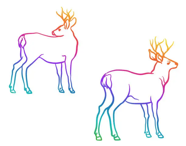 Vector illustration of Bucks Rainbow