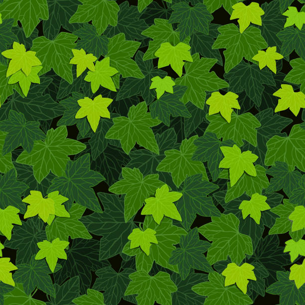 아이비는 �녹색 등반 벽 단풍, 벡터 일러스트, 원활한 패턴 배경을 떠난다 - backgrounds ivy leaf green stock illustrations