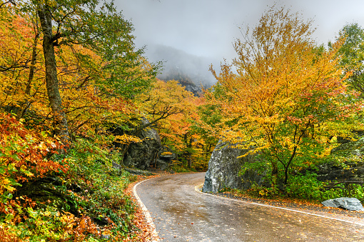 Panoramic view of peak fall foliage in Smugglers Notch, Vermont.