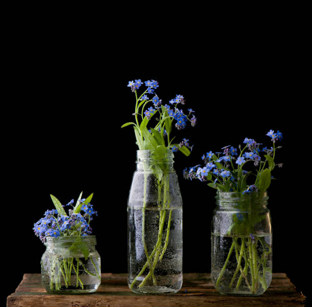 istock forget-me-not bouquet in glass jars on a wooden table 1299547666