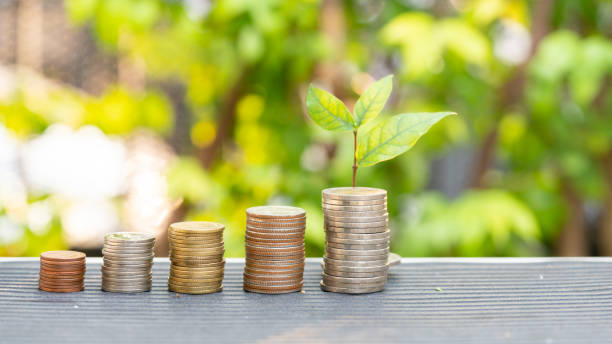 istock Raising of thai baht coins stacks with green tree background 1299549002
