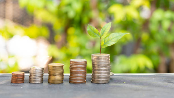 istock Raising of thai baht coins stacks with green tree background 1299549006