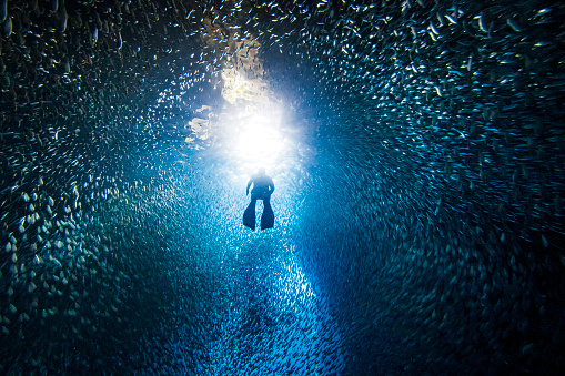 Buceador libre siluete nadando a través de la escuela de peces en la cueva submarina en la luz brillante photo