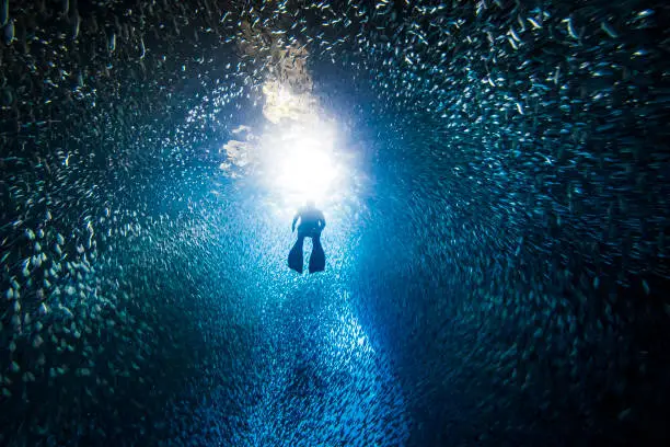 Silhouetted free diver swimming through school of fish in underwater cave into bright light