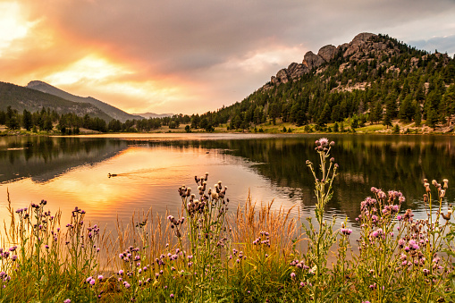 Lily Lake Fiery Sunset photo