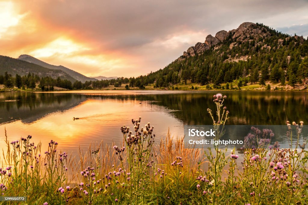 リリー湖燃えるような夕日 - 自然のロイヤリティフリーストックフォト