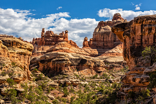 Spires and rock faces line beautiful Elephant Canyon in the Needles District of Canyonlands National Park, Utah.