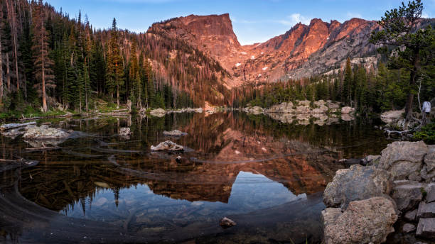 tourbillons sur le lac dream - driftwood wood water sunrise photos et images de collection