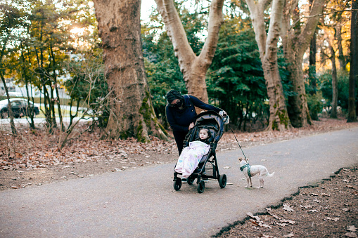 Lifestyle photos of a mother in her mid 20s walking her 1 year old daughter in a park carried in a stroller. She is also walking her small dog on a lease. Some lens flair as the sun is shot behind the family.