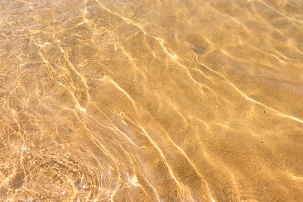 istock Ripples of water waves reflecting texture on a sandy beach bottom 1299561766